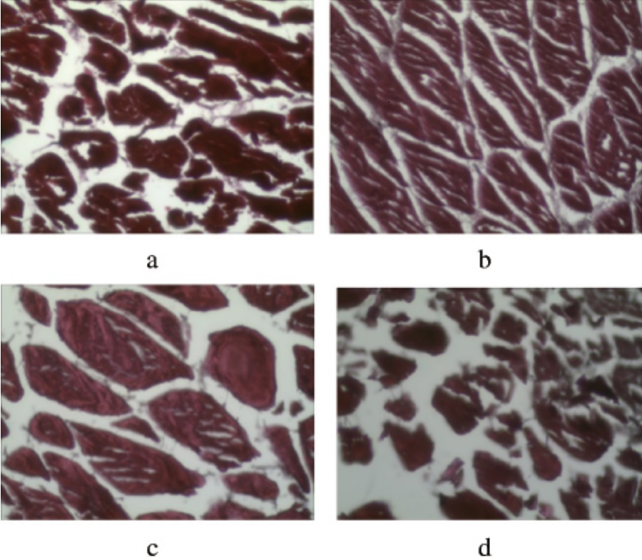 /uploads/image/2023/03/14/crystalpharmatech-20221130-2-13.jpg crystalpharmatech-20221130-2-13.jpg