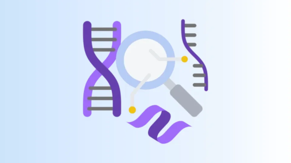 Analytical & Characterization Services